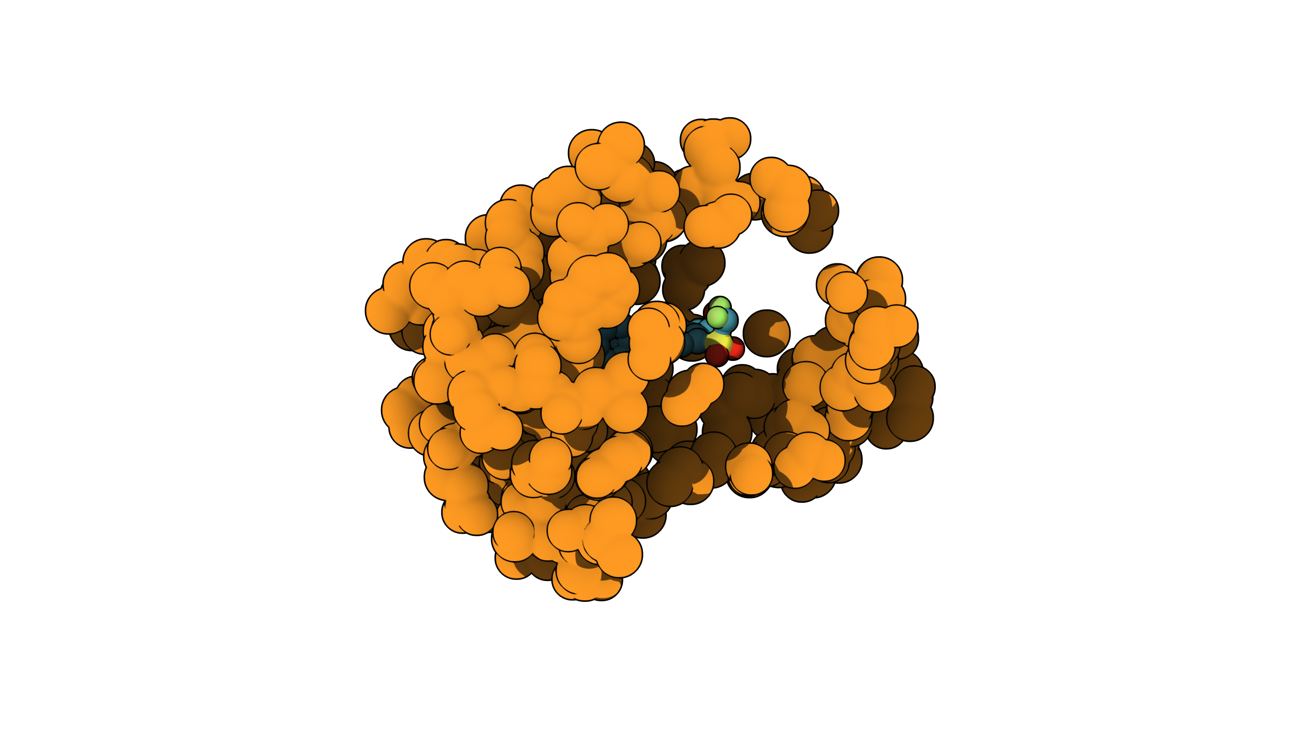 A ligand bound in the pocket of the HIF-2 alpha protein, the quantity RBFE predicts is the relative binding free energy delta delta G bind between two similar ligands